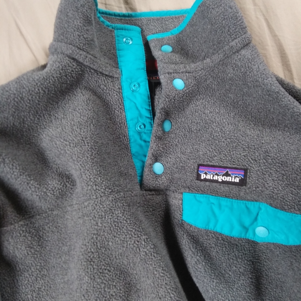 Patagonia Synchilla Pullover